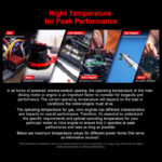 SkyRC TLD001 Thermologger Duo - Image 4